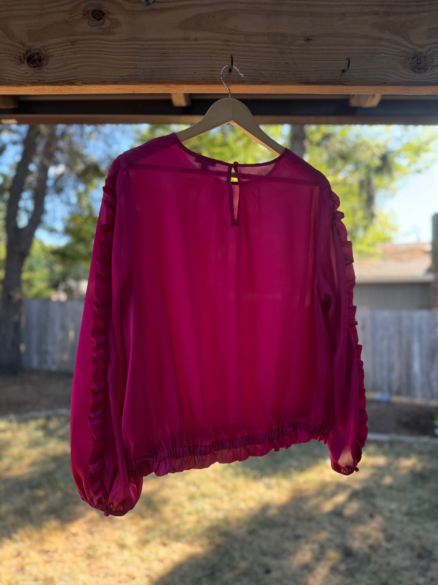 Ann Taylor Petite Raspberry Sheer Ruffle Blouse